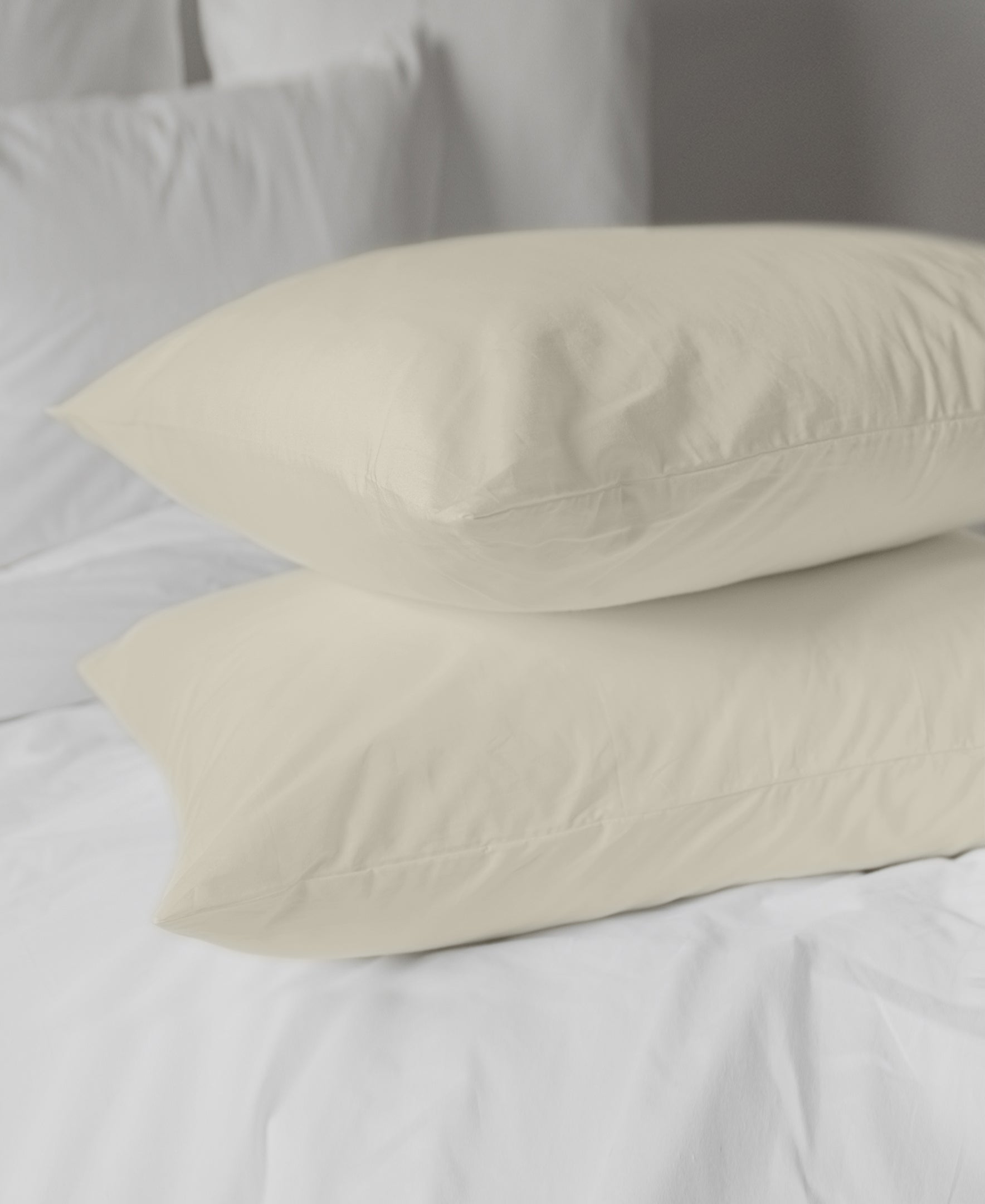 Luxe Soft & Smooth Pillowcase Pair